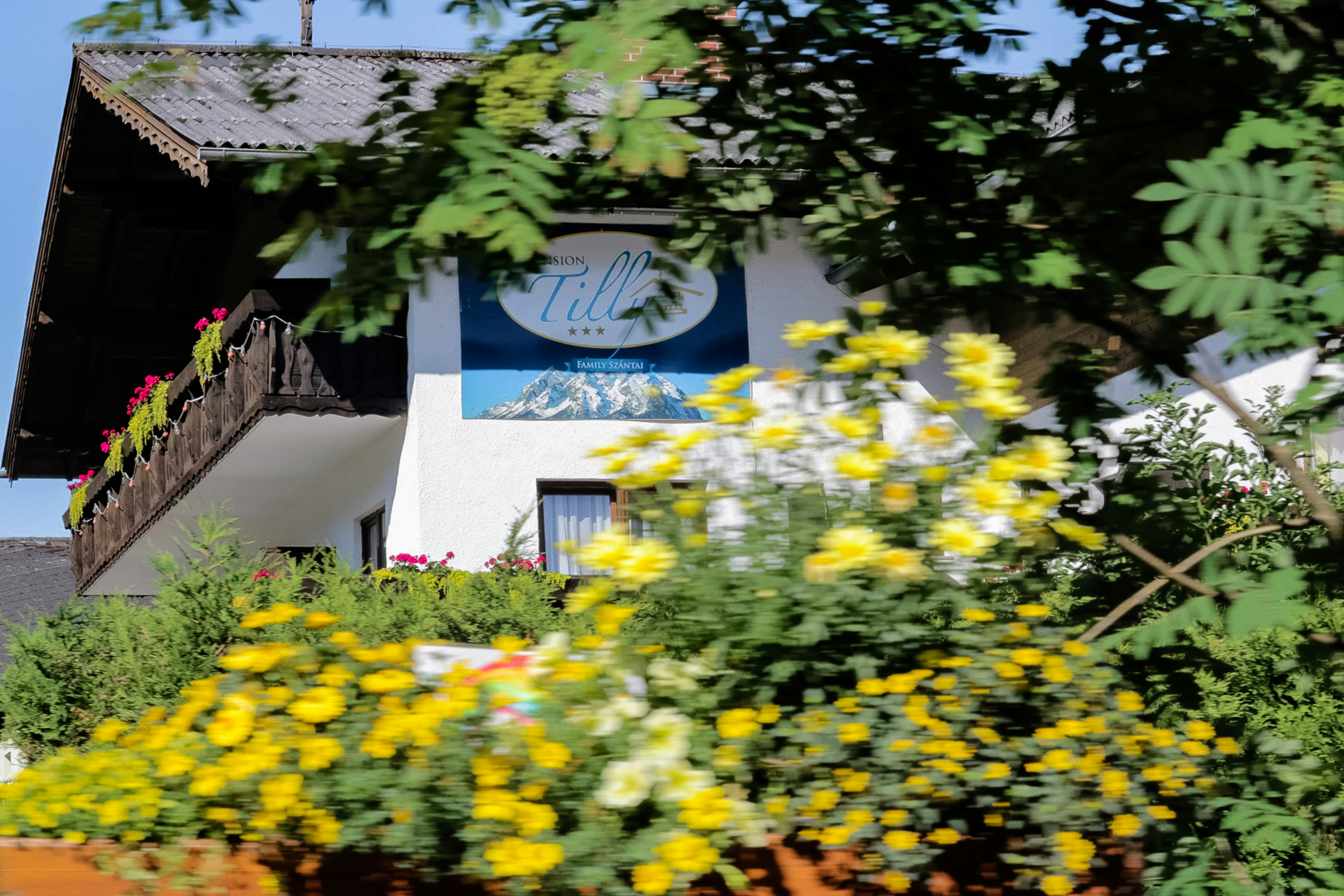 white buildings among plants